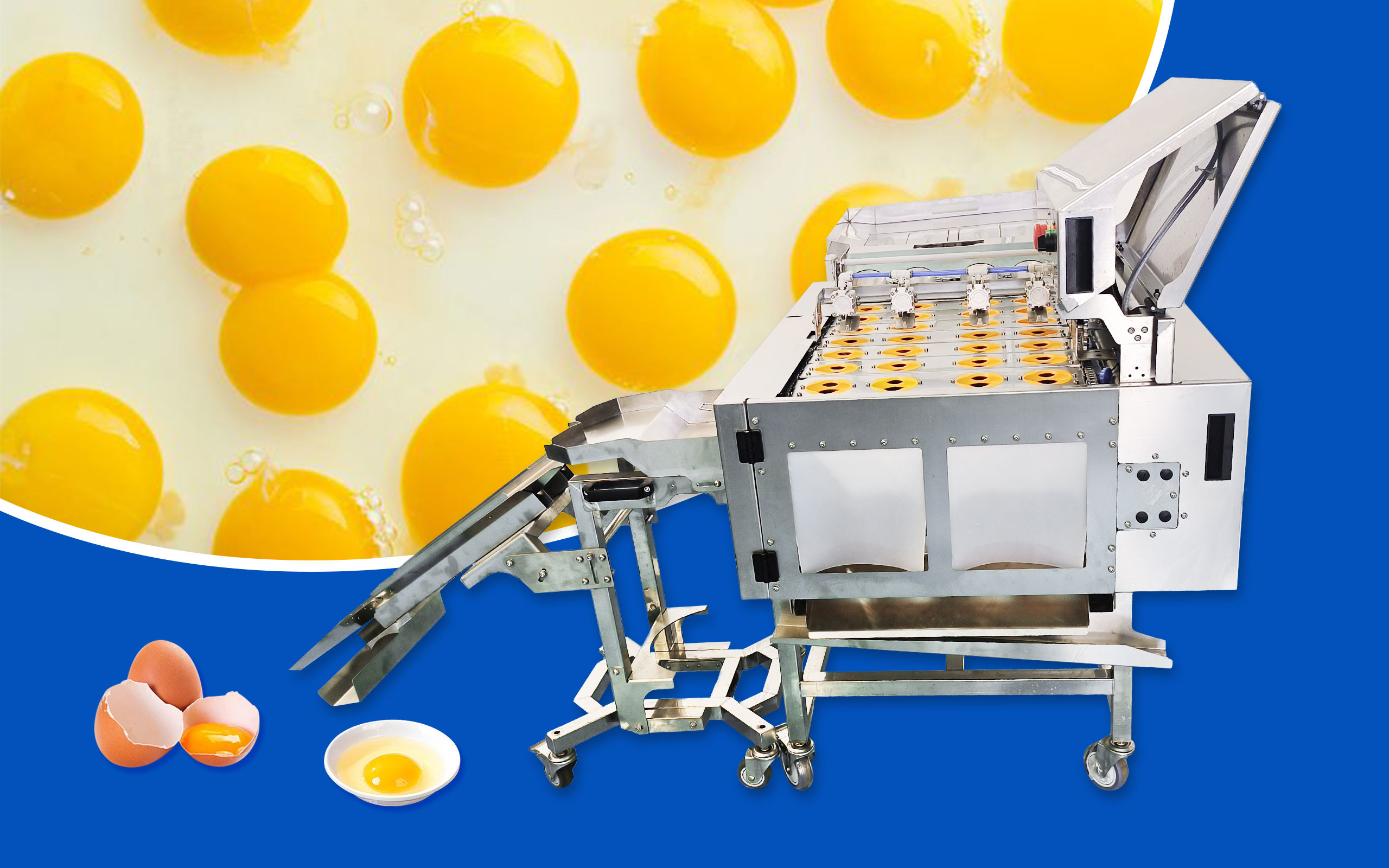 Blog công ty mới nhất về Làm thế nào để nhanh chóng tách một lượng lớn chất lỏng vỏ trứng