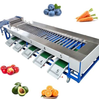 Máy chế biến rau quả để phân loại loại trái cây