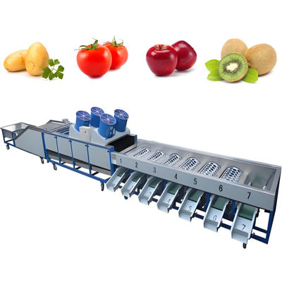 Máy giặt trái cây và rau tự động sản xuất