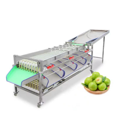 Khách sạn được hưởng lợi từ lựa chọn trọng lượng trái cây và máy phân loại kích thước trái cây tự động cho máy chế biến rau quả